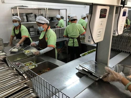 中山市為涉校集體用餐配送單位集中“充電”，筑牢校園食品安全防線